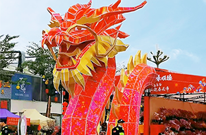 行花街咯喂~佛山沃特全程护航陈村迎春花市食品安全